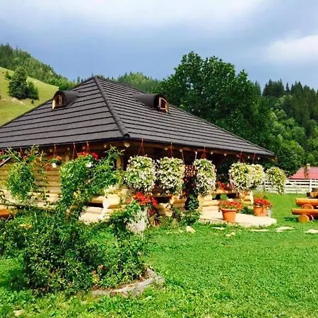 Casa Baciu Guest house