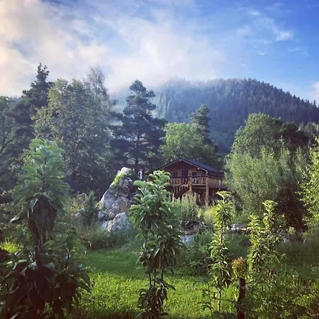 Casa Baciu Guest house *