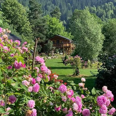 Casa Baciu Guest house