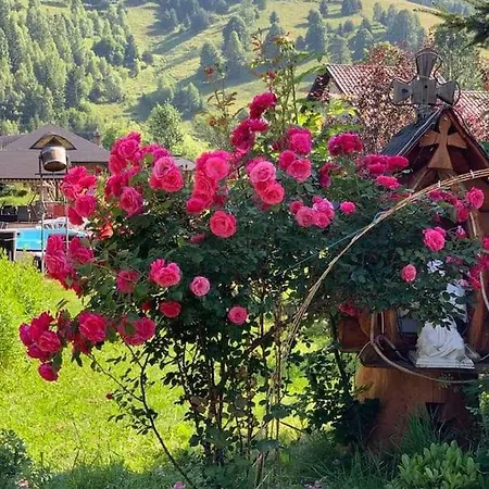 Casa Baciu