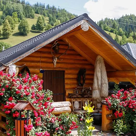 Casa Baciu Gasthof *