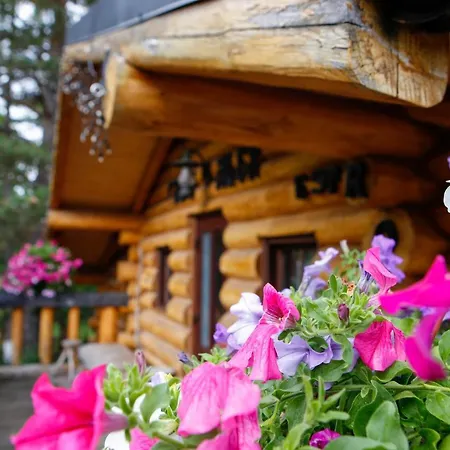 Casa Baciu Gasthof *