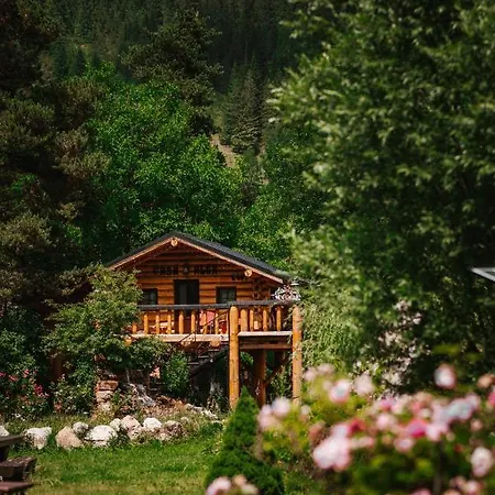 Casa Baciu Fundu Moldovei