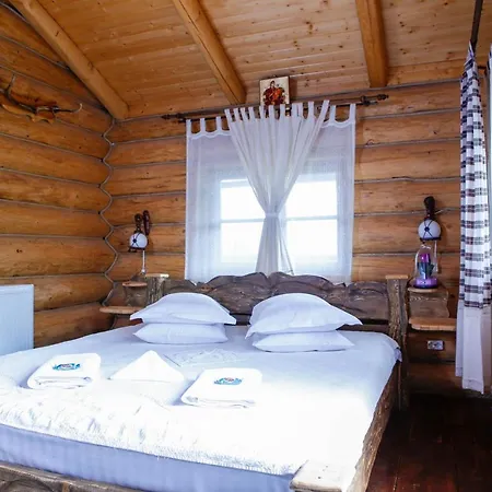 Casa Baciu Gasthof *
