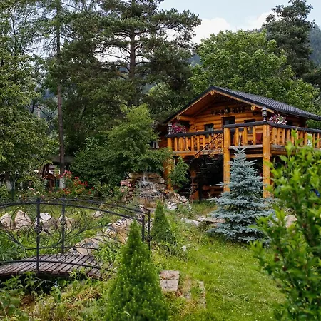 Casa Baciu Guest house