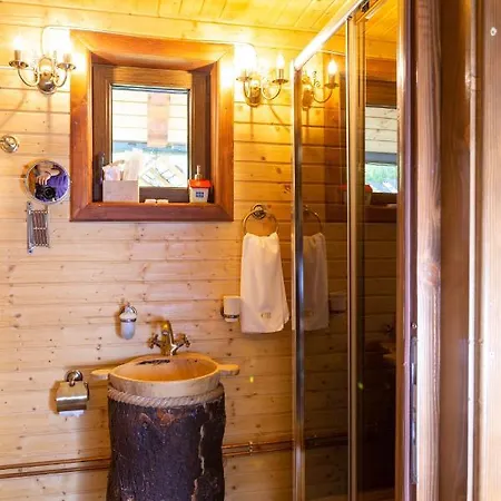 Casa Baciu Guest house Fundu Moldovei