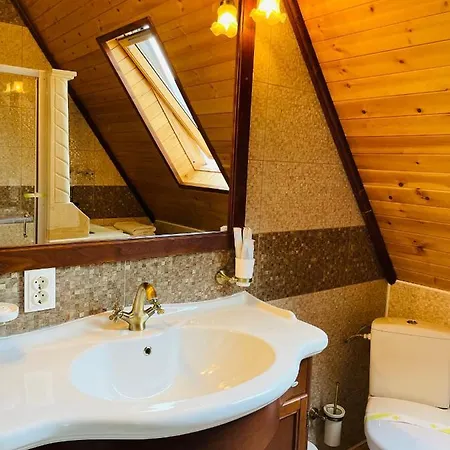 Casa Baciu * Fundu Moldovei