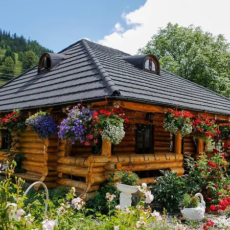 Casa Baciu Guest house