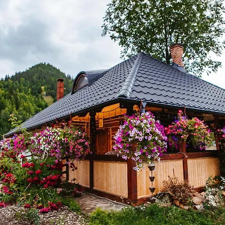 Guest house Casa Baciu *